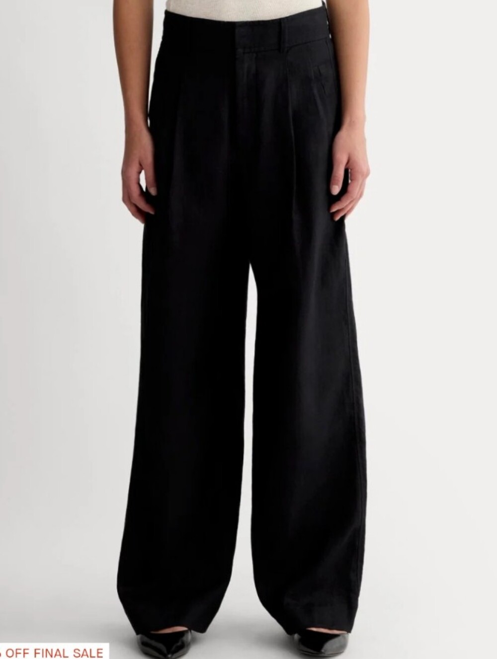Everlane Way High Drape Pants Wide Leg Pleated Tencel Cotton